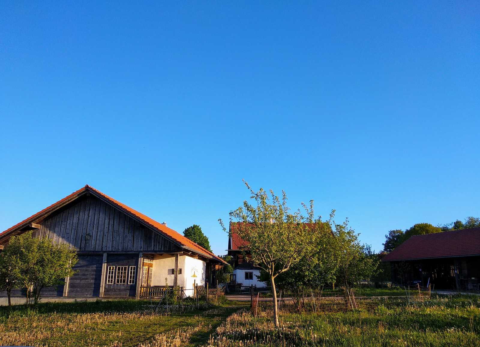 Echter Deutscher Rapshonig aus dem Südharz, Bioland, 500g, lecker, streichzart feinstcremig – Bild 5