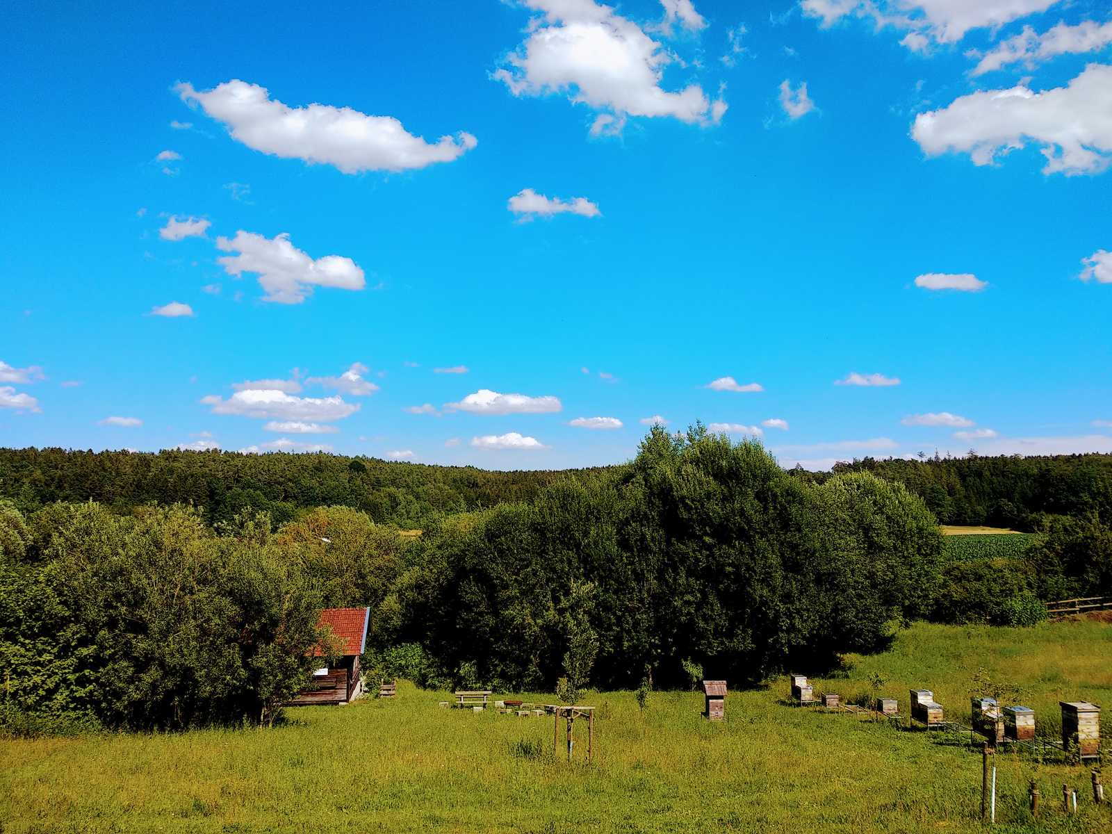 Bienenwachs-Salbe mit Propolis im Tiegel 30ml – Bild 6