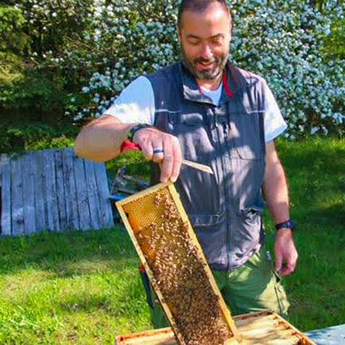 Oberfränkischer Blütenhonig mit Apfelblüte, 500g, von Streuobstwiesen aus der Gegend um Hirschaid – Bild 5