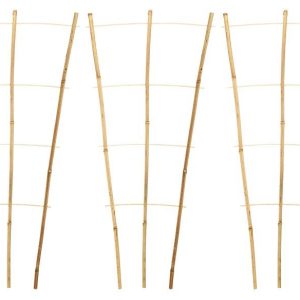 Pflanzenstütze ca. 75 x 35 cm