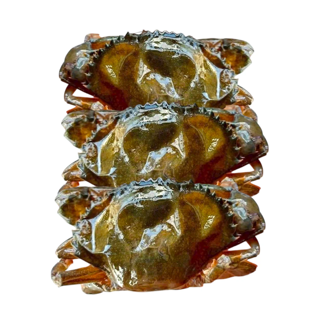 Geriffelte Mangrovenkrabbe- SOFT SHELL CRAB, tiefgefroren 1kg