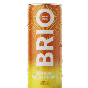 12 x 25cl Brio Mate Ginger Sparkling bio 25cl – in Dose Kiste