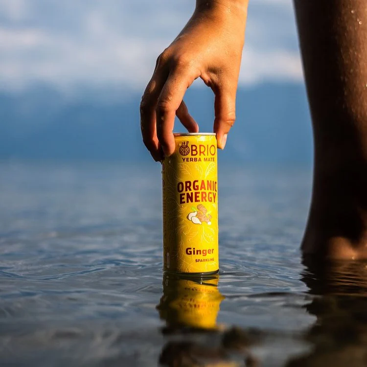 12 x 25cl Brio Mate Ginger Sparkling bio 25cl – in Dose Kiste – Bild 4