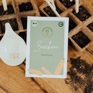 Bio-Saatgut Zucchini „Gold Rush“