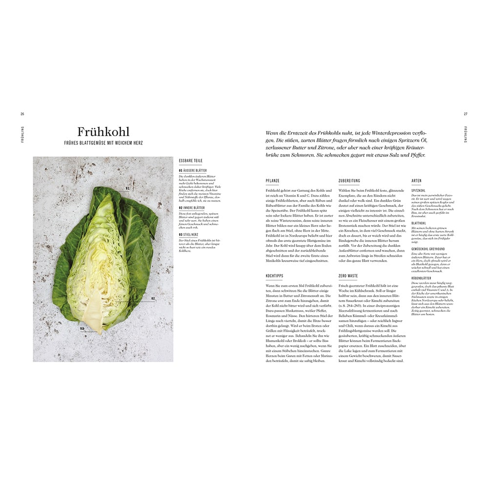 Buch: Frische Gemüseküche – Bild 4