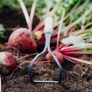 Unkrautwunder handgeschmiedet