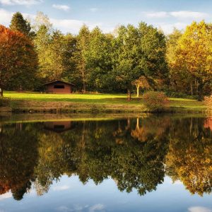 Goldener Herbst am Weiher bei Waldhölzbach