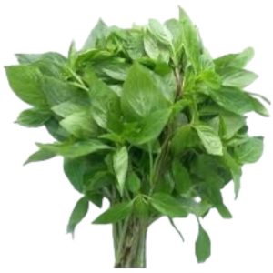 Basilikum (Tüte) Thailand-Hung Que 100g