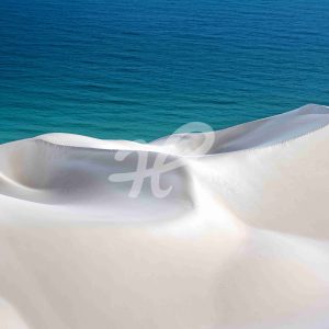 White + Turquoise