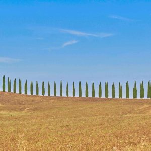 Toskana Panorama