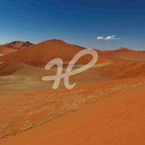 Namib Naukluft Parc – Dünenlandschaft