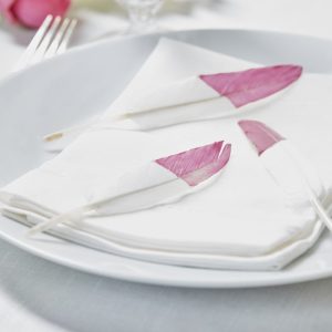 Deko-Federn weiß mit pinker Spitze